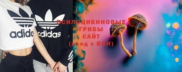 МДПВ Богданович