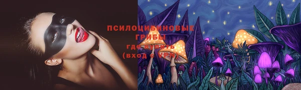 МДПВ Богданович